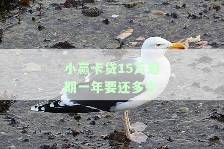 小赢卡贷15万逾期一年要还多少钱，逾期一年，小赢卡贷15万应还款解析