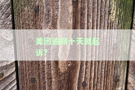 美团逾期十天就起诉了怎么办，美团逾期十天即被起诉，该如何应对？