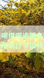 花呗借呗逾期多久会从银行卡扣款？影响及解决方法全解析