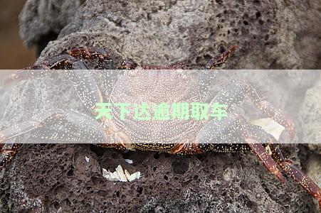 天下达官网：客服电话、招聘、加盟信息及各地分公司与租赁公司介绍