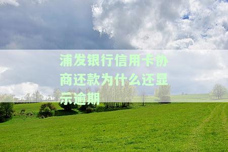 浦发银行逾期后协商还款：我觉得金额不对，晚还会有何后果？能否再次协商？协商还款会影响征信吗？协商还款期限是多久？