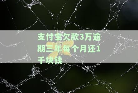 支付宝欠3万逾期2年没还，罚息多少？总共需要还款多少？逾期三年是否会坐牢？