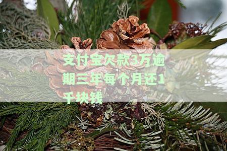 支付宝欠款3万逾期三年每个月还1千块钱