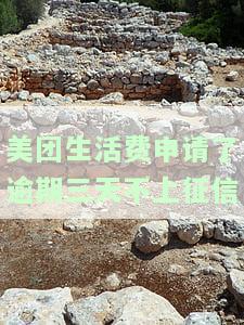 美团生活费逾期三天就再也借不出来了吗，美团生活费逾期三天后还能借款吗？答案可能让你意外