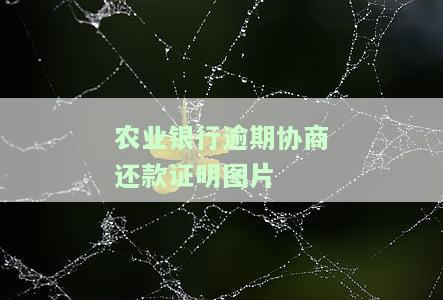 农业银行协商还款政策全解析：最新文件、规定及操作方法