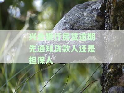 兴业银行房贷通过后会有短信通知吗，兴业银行房贷审批结果如何得知？短信通知是唯一方式吗？
