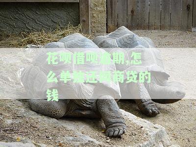 支付宝花呗借呗网商贷逾期怎么先还借呗花呗，优先偿还支付宝花呗、借呗和网商贷的逾期欠款方法