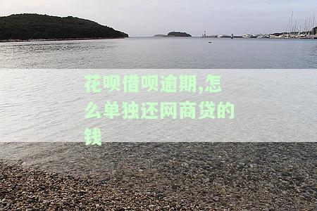 花呗借呗逾期了怎么还，花呗、借呗逾期了，应该如何还款？
