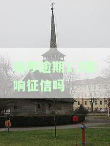 哈啰逾期1.5影响征信吗怎么办，哈啰逾期1.5天是否会影响征信？解决方案全在这里！