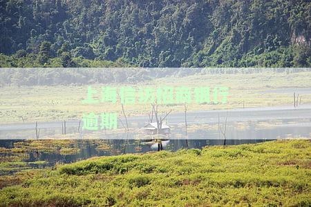 上海信访招商银行逾期怎么办，解决上海信访招商银行逾期问题的方法