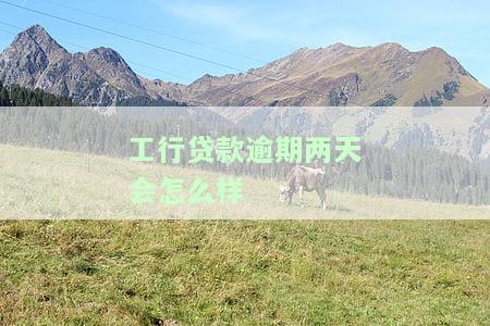 工行贷款逾期一天会怎么样，工行贷款逾期一天的后果是什么？