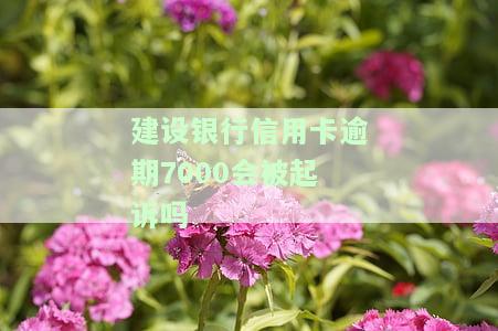 建行信用卡7万逾期，警惕！建行信用卡逾期7万元可能带来的严重后果