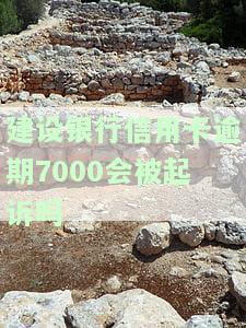 我建行信用卡逾期7个月金额5000，如何处理？