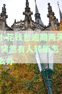 小花钱包逾期一天怎么办？影响及解决方法全解析