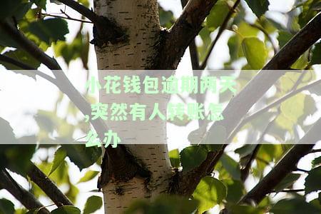 小花钱包逾期一天会联系紧急联系人吗？后果严重！