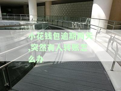 小花钱包逾期两年多了还在给我发消息什么法院，小花钱包逾期多年，为何仍不断发送法院催款信息？