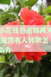 小花钱包逾期两天,突然有人转账怎么办