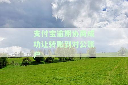 支付宝逾期协商成功让转账到对公账户-支付宝逾期协商成功让转账到对公账户怎么办
