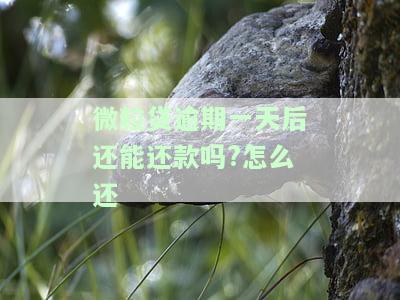 微粒贷逾期一天后还能还款吗?怎么还