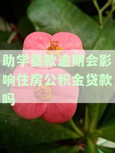助学贷款逾期怎么申请住房公积金，助学贷款逾期后如何申请住房公积金？
