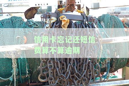 我信用卡还款忘记了几天还可以还吗？如何查询及解决逾期问题
