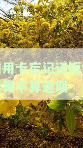 忘记还信用卡是否会留下信用记录？逾期处理方法