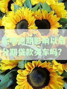 花呗逾期影响以后分期贷款买车吗?-花呗逾期影响以后分期贷款买车吗怎么办