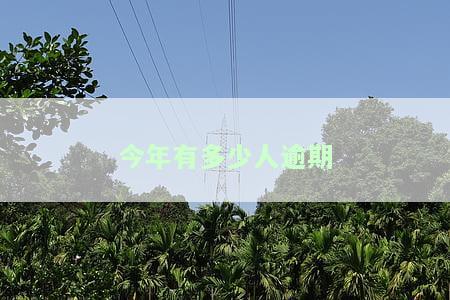 今年有多少人欠款逾期，揭秘：今年的欠款逾期情况如何？