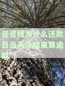 豆豆钱为什么还款日不扣费？显示下一期一起还，一直显示还款中
