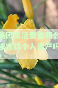 美团生活费逾期会被冻结个人资产吗？安全吗？