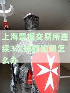 上海票据交易所票据交易规则，深入了解上海票据交易所票据交易规则