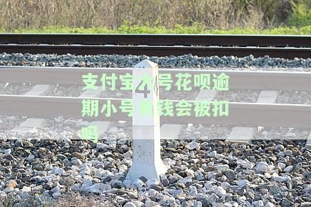 支付宝大号花呗逾期小号有钱会被扣吗怎么办，支付宝大号花呗逾期，小号有钱会被扣吗？解决方案在这里！