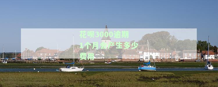 花呗3000逾期1个月会产生多少费用，了解花呗逾期：逾期1个月，3000元会产生多少费用？