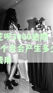 花呗欠款三千多,逾期三个月,是否严重？可能的后果是什么？
