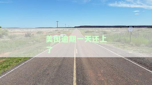 美团逾期一天还款后能否取出？安全性如何？对借款有影响吗？