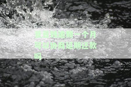 豆豆钱逾期一个月可以协商期还款吗-豆豆钱逾期一个月会怎样