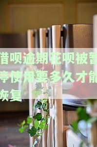 支付宝借呗逾期后花呗停用什么时候恢复，如何解决支付宝借呗逾期后花呗被停用的问题？
