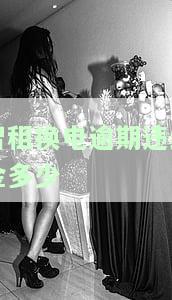 智租换电逾期违约金多少合适，如何确定智租换电逾期违约金的合理数额？