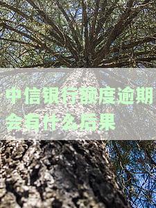 中信银行逾期多少天会上征信？影响及后果解析