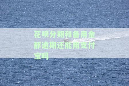 花呗和备用金都逾期了,备用金为啥可以用，逾期未还花呗，为何还能使用备用金？