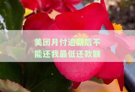 美团月付逾期后不能还我最低还款额-美团月付逾期后不能还我最低还款额的钱