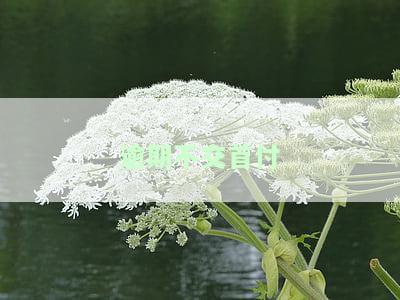 没按时交首付，逾期未支付首付：可能带来的后果和解决方案