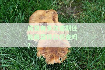 房贷逾期一次不能商转公：武汉商转公房贷逾期一次的影响