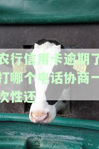 农行信用卡逾期，警惕！农行信用卡逾期可能带来的严重后果