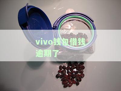 Vivo钱包借钱逾期后能与银行协商还款吗？逾期后果及解决方法