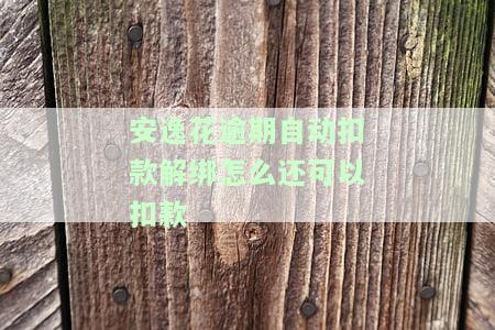 安逸花扣款失败后多久再扣？扣款2次如何解决？已扣款却显示未还款，额度何时刷新？