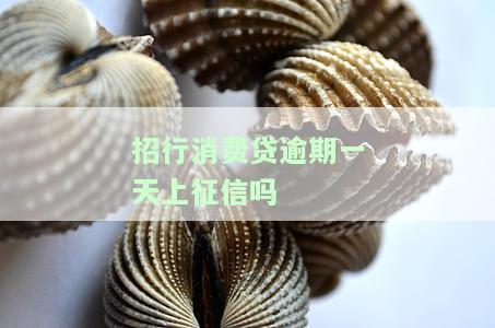 招行消费贷逾期一天会否上征信？有何影响及解决办法？