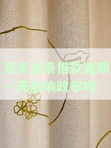 京东金条借款逾期一天会影响政审吗？逾期1天上征信了怎么消除？
