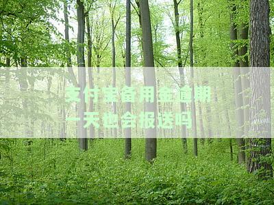 支付宝备用金逾期一天会上报影响征信么,不是故意的，支付宝备用金逾期一天会影响征信吗？并非故意为之