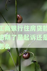 工商银行住房贷款逾期了是起诉还是怎么-工商银行住房贷款逾期了是起诉还是怎么办